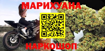 шишки Гатчина