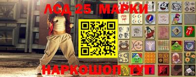 шишки Гатчина