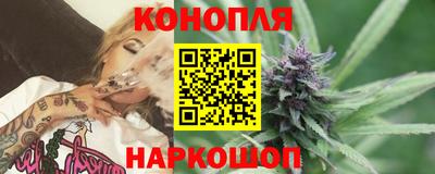 шишки Гатчина