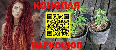 прущий лед Гай