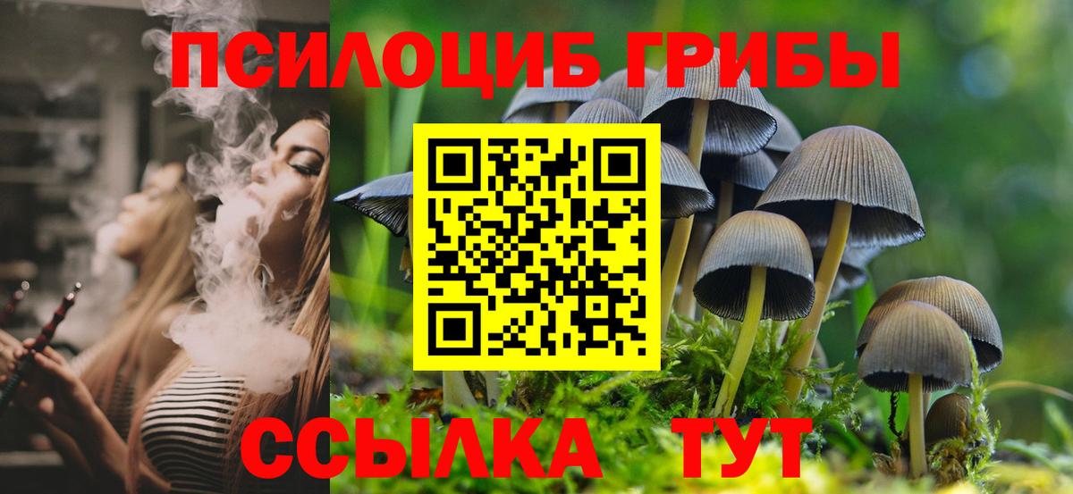 Псилоцибиновые грибы Psilocybe Карталы
